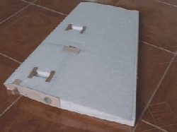 wing