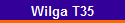 Wilga T35