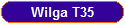 Wilga T35